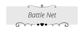 Battle-Net Panel from Clean Valentine Panels Theme.